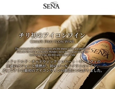  赤SENA 19 ( チリ)