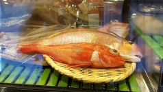 魚屋に毛のはえたような店 京都つりや(烏丸御池/居酒屋)＜ネット予約可