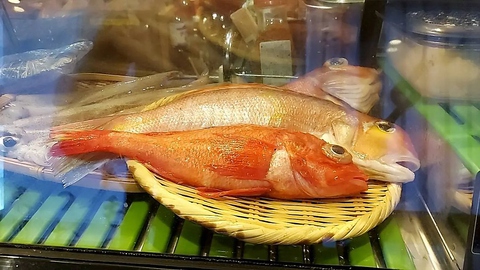 魚屋に毛のはえたような店 京都つりや 烏丸御池 居酒屋 ネット予約可 ホットペッパーグルメ