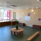 DOG CAFE Bell ドッグカフェ ベルの雰囲気2