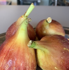 季節のお料理　