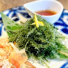 海ぶどう