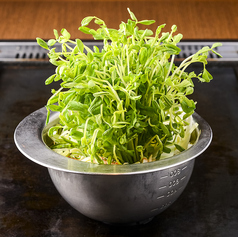 豆苗もんじゃ