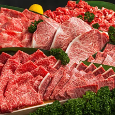 ジンギスカン はちふく南浦和店の特集写真