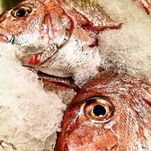 徳島 魚一番 新 あらたのおすすめ料理3