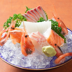 福井の海がもたらす鮮魚と店主が直接見極める旬の味覚