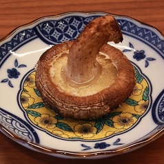 どんこしいたけ