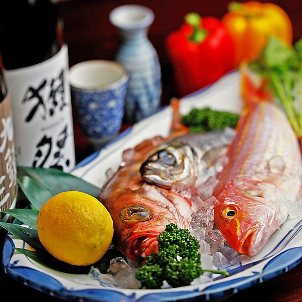 日本の四季を感じる、産地直送の厳選旬魚！多彩な美味を堪能できる格別のひと時をお届けします。