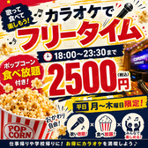 カラオケ747 新橋店のおすすめ料理3