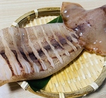 迫力ある大きいイカをご自分でこんがり焼きあげられます◎焼きあがったイカを七味マヨをつけて頬張る