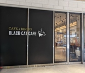 ブラックキャットカフェの雰囲気3