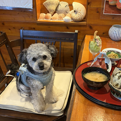 ペットと一緒にお食事いただける、仕切りのあるスペースをご用意しています。ご利用は事前予約制です。マナーパンツの着用や、吠え続けないなどのマナーにご協力ください。ヒート中のペットはご遠慮いただいております。