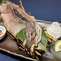 料理メニュー写真&nbsp;日本海するめいか姿盛り(肝付き）