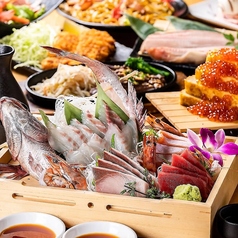 肴と日本酒 うおいち特集写真1