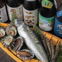鮮度抜群♪贅沢魚づくしの逸品多数