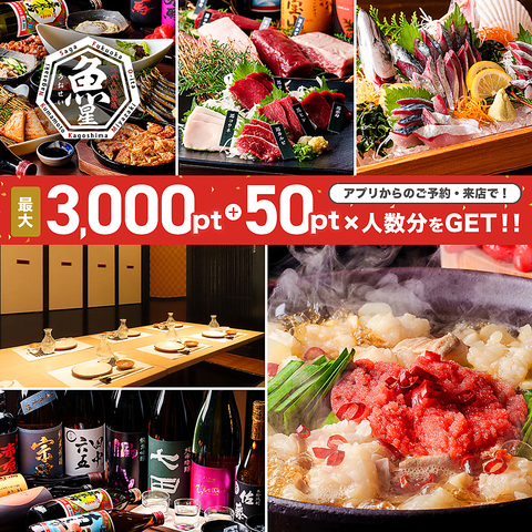 【当日OK！】飲み放題付きコース各種！ご宴会予約受付中！もつ鍋や馬刺しなど九州料理