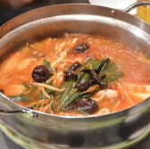 Sanchar BIRD サンチャーバードの詳細