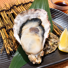 <兵庫県・室津産>生牡蠣