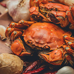 心斎橋 上海食苑のコース写真