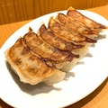 料理メニュー写真 ホルモン焼餃子 赤（ニンニク有）