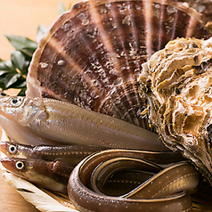 一心 金子のコース写真