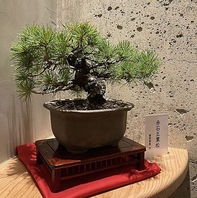 店内の『しつらえ』にもご刮目