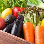 毎日新鮮で美味しいお野菜が契約農家から届きます！