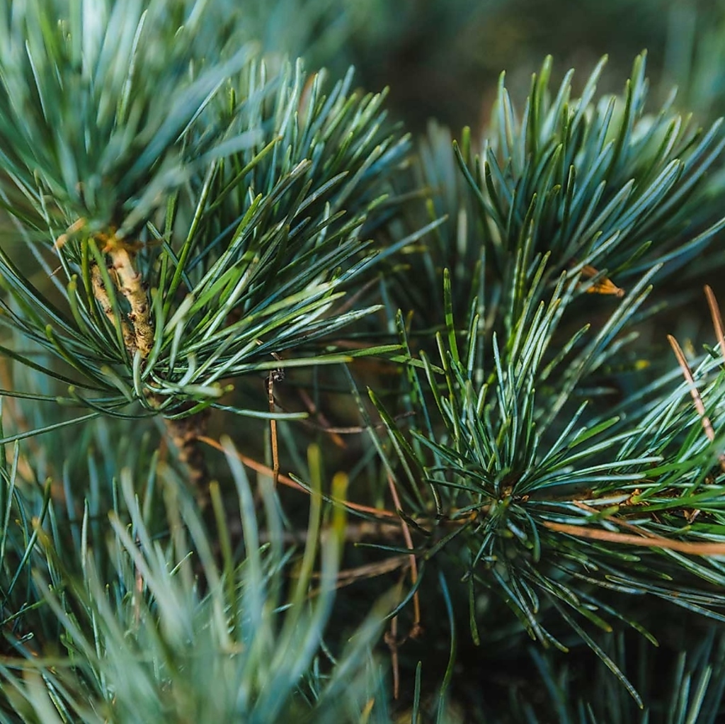 全てのお客様に喜びと感動、山形の素晴らしさをお伝えできるよう誠心誠意努めて参ります