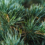 全てのお客様に喜びと感動、山形の素晴らしさをお伝えできるよう誠心誠意努めて参ります