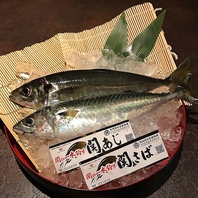 【鮮度抜群の海の幸】関アジ・関サバなど旬の魚介
