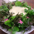 料理メニュー写真&nbsp;モキチサラダ～泡ドレッシング～