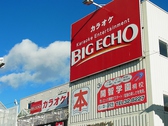 ビッグエコー BIG ECHO 美須々店 カラオケの雰囲気2