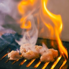 大衆焼肉 奇跡のホルモンのコース写真