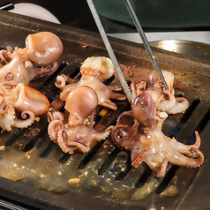 ミリネヤンコプチャン川崎店のおすすめポイント1