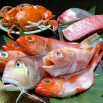 【新鮮な食材】海鮮類も肉類も大将自ら目利きし選び抜き、こだわりの食材を使用しております。