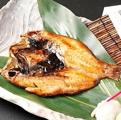 超希少 特大のどくろ開き