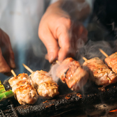 炭火焼き鳥 大人気 新宿本店特集写真1