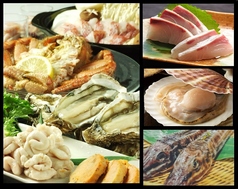 道東の狼 新鮮組の特集写真