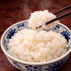 山形 つや姫 白飯