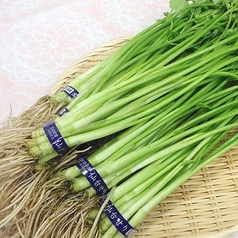 仙台せりのお浸し