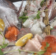 黒崎居酒屋 すし天やの写真