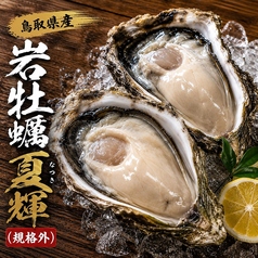 夏輝(鳥取県産/岩牡蠣)規格外