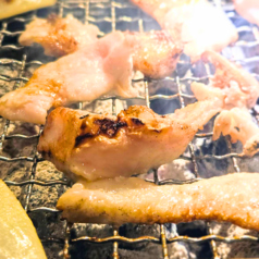 我らの焼肉食堂の特集写真