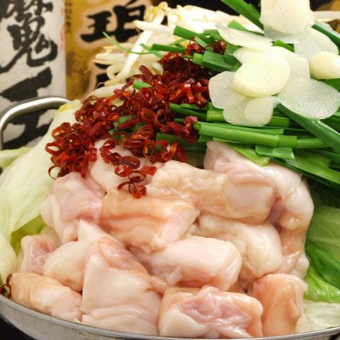 ���� ���� �k�z�J�X