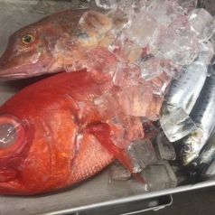 町屋の自慢は厳選して仕入れる鮮魚！