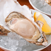 牡蠣好きなら一度は食べたい、北海道・厚岸産の生牡蠣。冷たく澄んだ海で育った牡蠣は、身がふっくらと大ぶりで、口に含めばとろけるようなクリーミーさと、海のミネラルをしっかりと感じる濃厚な旨みが広がります。厳しい鮮度管理のもと、一年を通して安定した品質でお楽しみいただけるのも魅力です。