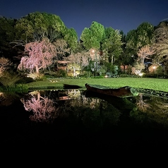 TEA HOUSE KAYUTEI ティーハウスカユウテイの雰囲気3