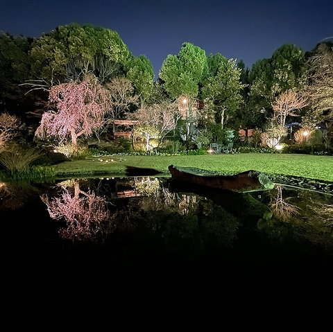 TEA HOUSE KAYUTEI eB[nEXJEeC