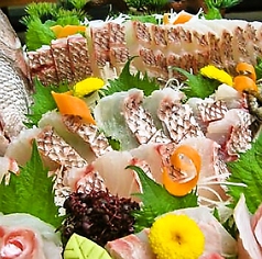浅草 魚料理 遠州屋の特集写真
