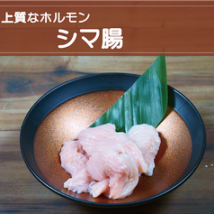 シマ腸《しお・みそ》